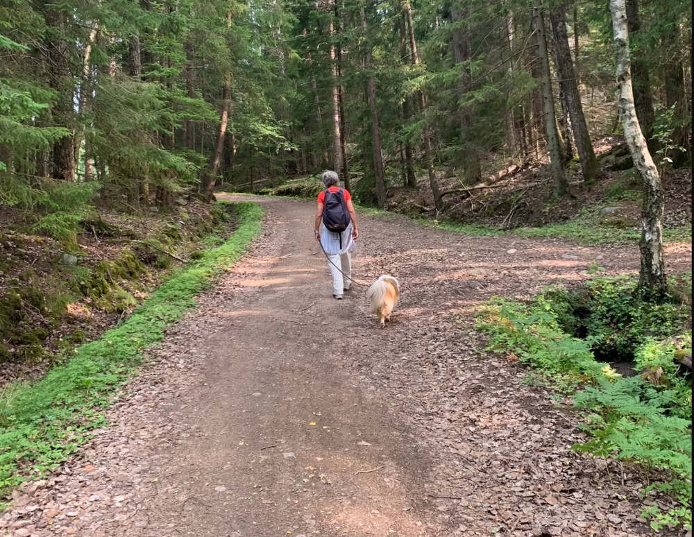 When The Foundation Cracks